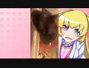 ヒヨリちゃんのハムスターの日常。28