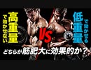 【筋トレ】高重量で効かせない vs 低重量で効かせる どちらが筋肥大に効果的か？【ビーレジェンド プロテイン】