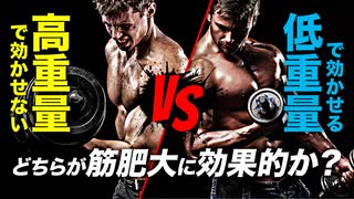 【筋トレ】高重量で効かせない vs 低重量で効かせる どちらが筋肥大に効果的か？【ビーレジェンド プロテイン】