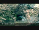 舞イ散ル桜ニ我君ヲ想フ