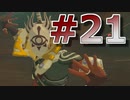 新作発売までに完走を目指すブレワイ実況！part21【ゼルダの伝説 BotW 実況】