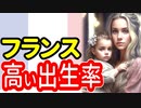 【少子化減速】フランス式対策とは!? 長所と短所をまとめてみた【12分動画】