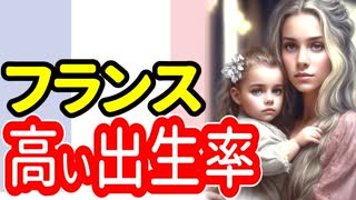 【少子化減速】フランス式対策とは!? 長所と短所をまとめてみた【12分動画】