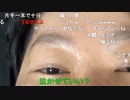 ニンポー（千代豊和） 入眠前定時報告2