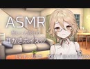 Tちゃんの耳かきで今日一日の疲れを癒してもらった【耳かき/囁き声/ASMR】