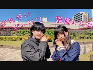 【獅癒×るあ】おねがいダーリン【歌ってみた×踊ってみた】