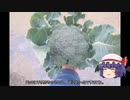 ゆっくり農民210ブロッコリーを育ててみませんか？#6