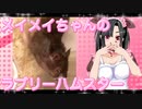メイメイのハムスターの日常。31