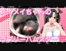 メイメイのハムスターの日常。33