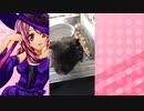 マガラブのハムスターの日常59