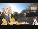 河北潟の千本桜から1分弱コメント返し【自転車車載】