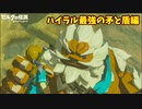 こういう熱いキャラ俺は好きだぜ！【ゼルダの伝説 ブレス オブ ザ ワイルド】#15