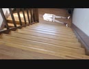 お呼び出し