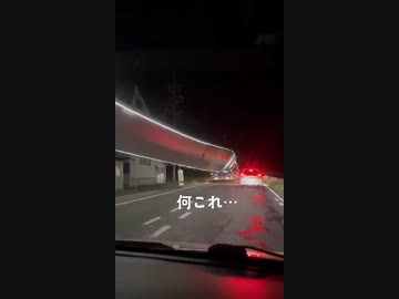 ホモと見る細長すぎる何か