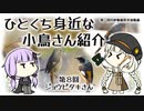 【第三回10秒動画祭】ひとくち身近な小鳥さん紹介【第8回:ジョウビタキさん】