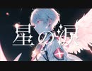星の涙 / PANP Chis-A