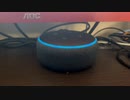 【ALEXA】今日のアレクサ 2023/04/28 缶ジュースとクイズ