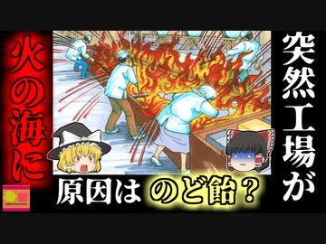 【2005年】頭や顔面を焼かれた作業員…その原因は''のど飴''?!　『プロポリスのど飴発火事故』【ゆっくり解説】