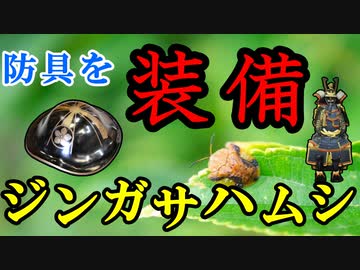 【ゆっくり解説】その装備は何のため？　ジンガサハムシを解説