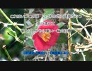 【ゆっくり朗読】三好達治「椿花」【第三回10秒動画祭】