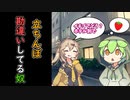 【コント】立ちんぼを勘違いしてるずんだもん