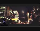 【実況】交差する主人公達と恐怖と時々ビビり Part 12【バイオハザード】