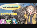 【VOICEVOX実況】チャリダー放浪記 桜ライド後編