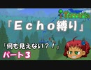 [Terraria]　『Ｅｃｈｏ縛り』パート３　[ゆっくり実況]