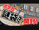 【秋葉原名物？】売り切れ多発！謎袋開封【ポケカコレクション】