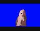 ぞうだよBB