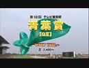 【ウマ娘風】第18回テレビ東京杯青葉賞GⅡ(2011)【ウインバリアシオン】
