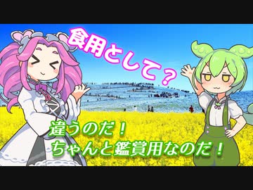 ネモフィラって？【ソフトウェアトーク劇場＆解説】