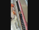 ホモと見る英才教育