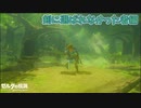 伝説の剣と出会えるとは光栄だねぇ【ゼルダの伝説 ブレス オブ ザ ワイルド】#17