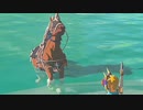 【ブレワイ】時々発生する、馬が無限に泳ぐバグの発生方法が分かった動画【ドリカラ】【ボイスピ実況,ゼルダの伝説ブレスオブザワイルド,BotW,ゼル伝】