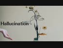 Hallucination / 赤井翠 feat. 可不