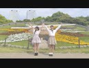 【超会議当日!!】(3度目の)ハッピーシンセサイザ 踊ってみた【ともか×さき】