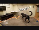 【第135回】タケノコほり体験⑥とご飯とマイクと豆腐