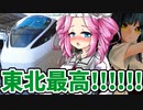 【鉄道150周年完】超絶長い在来線特急仙台ひたちで東京に帰る【JR東日本パス】