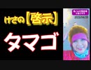 【啓示】タマゴ（2023804/29）→続きはmediableで！