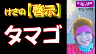 【啓示】タマゴ（2023804/29）→続きはmediableで！