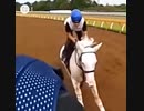 フリームファクシとソダシとの併せ馬ソダシの追い切り映像