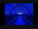 The Road to the Shrine Am(omit5)/G
