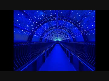 The Road to the Shrine Am(omit5)/G