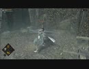 【デモンズソウルリメイク】トロコンするまで【実況】 part13