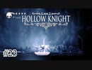 受け継いだ力が安定しない【Hollow Knight】#23