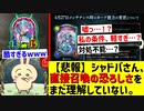 【悲報】〝グレティナ〟の条件軽すぎて大変なことになっております…【 Shadowverse シャドウバース 】