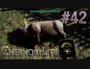 【CHERNOBYLITE】チョルノービリ原発を探索するホラーなクラフトFPSでRPGする実況。＃４２