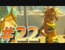 新作発売までに完走を目指すブレワイ実況！part22【ゼルダの伝説 BotW 実況】