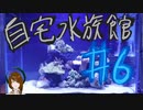 半端ものの海水魚飼育　＃re6～水槽リセット編～